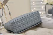 LARGE CARO BAG 28 GRAY SUPPLE CANNAGE CALFSKIN