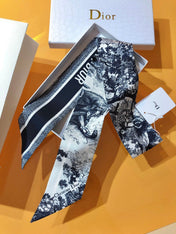 DIOR 26S SCARF 105CM IN SILK 311649