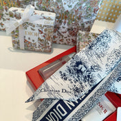 DIOR 26S SCARF 105CM IN SILK 309544