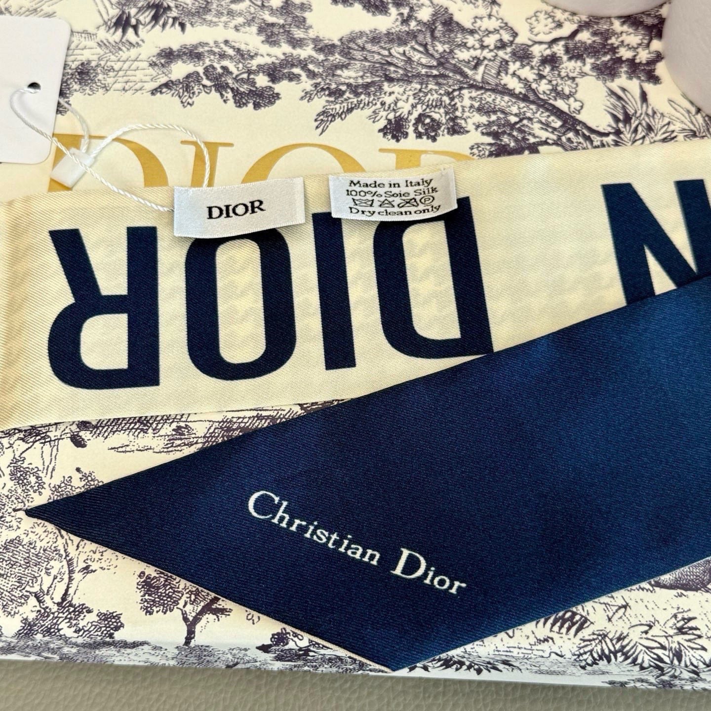 DIOR 26S SCARF 105CM IN SILK 313133