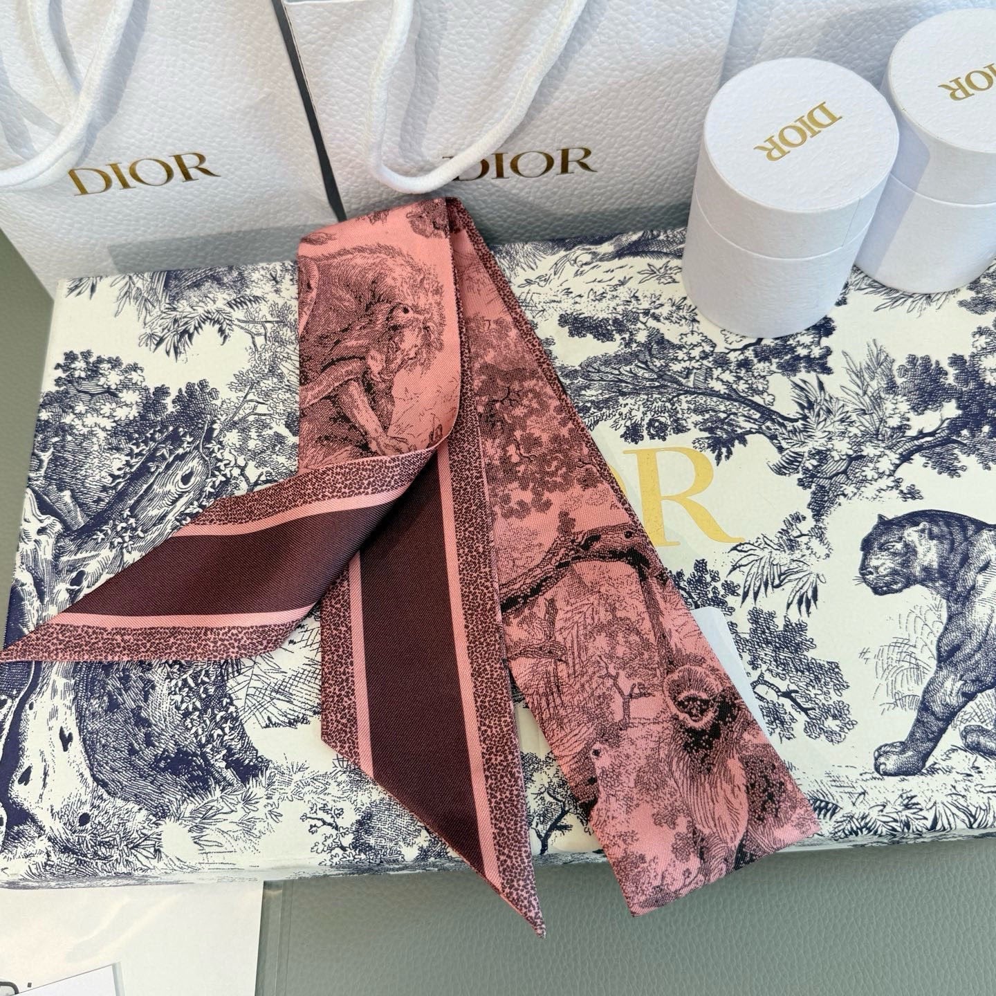 DIOR 26S SCARF 105CM IN SILK 313071