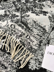 DIOR 26S SCARF 190 IN CASHMERE AND WOOL 429093