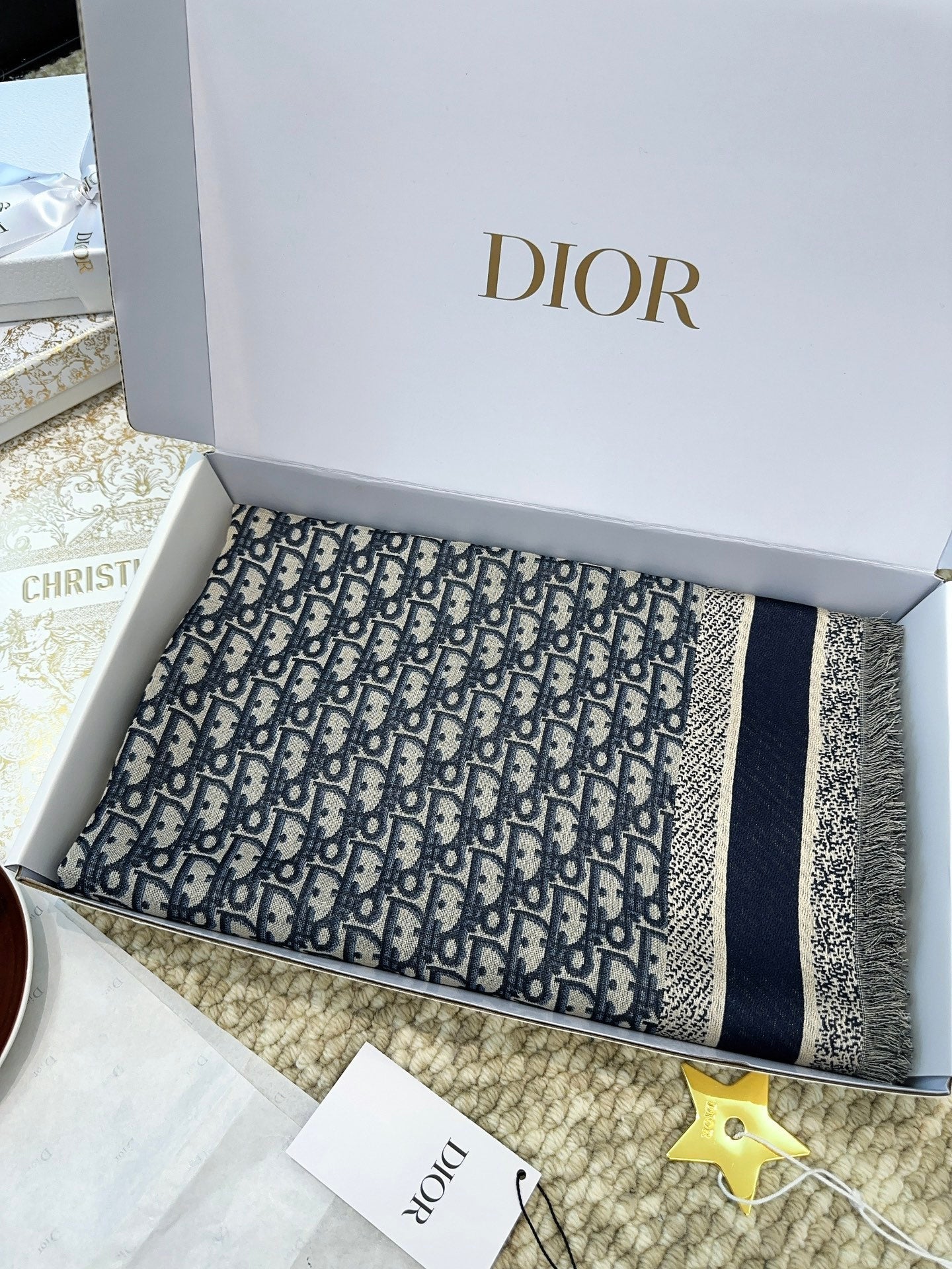 DIOR 26S SCARF 140 IN CASHMERE AND SILK 513544