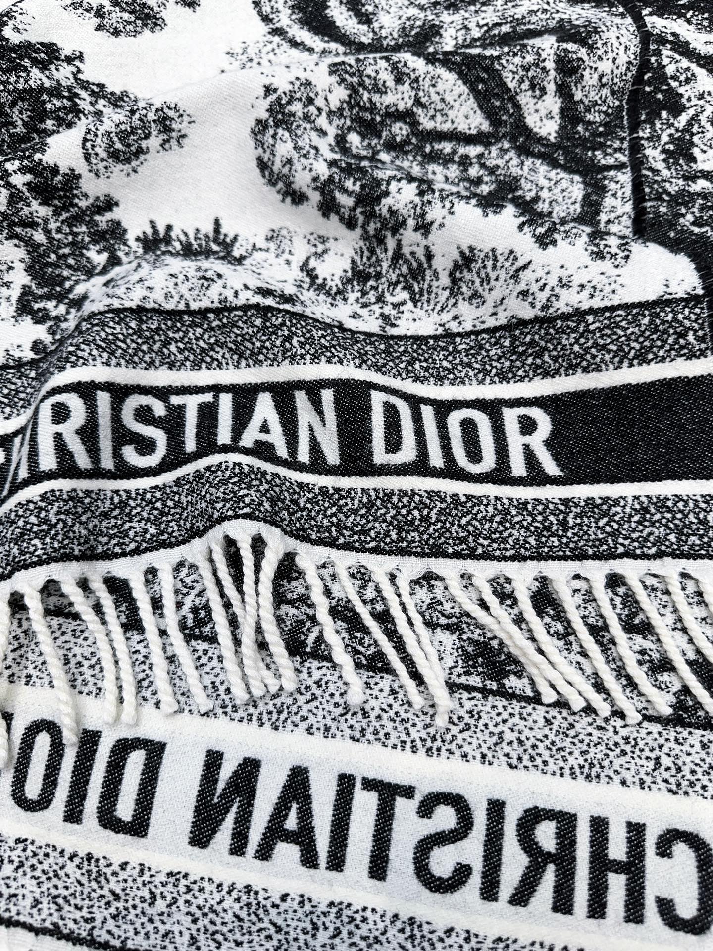 DIOR 26S SCARF 140 IN WOOL AND CASHMERE 509310