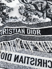 DIOR 26S SCARF 140 IN WOOL AND CASHMERE 509310