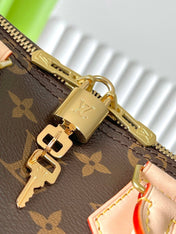 SPEEDY BANDOLIÈRE 25 IN BROWN MONOGRAM CANVAS GOLD HARDWARE