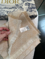 DIOR 26S SCARF 140 IN SILK AND CASHMERE 424259